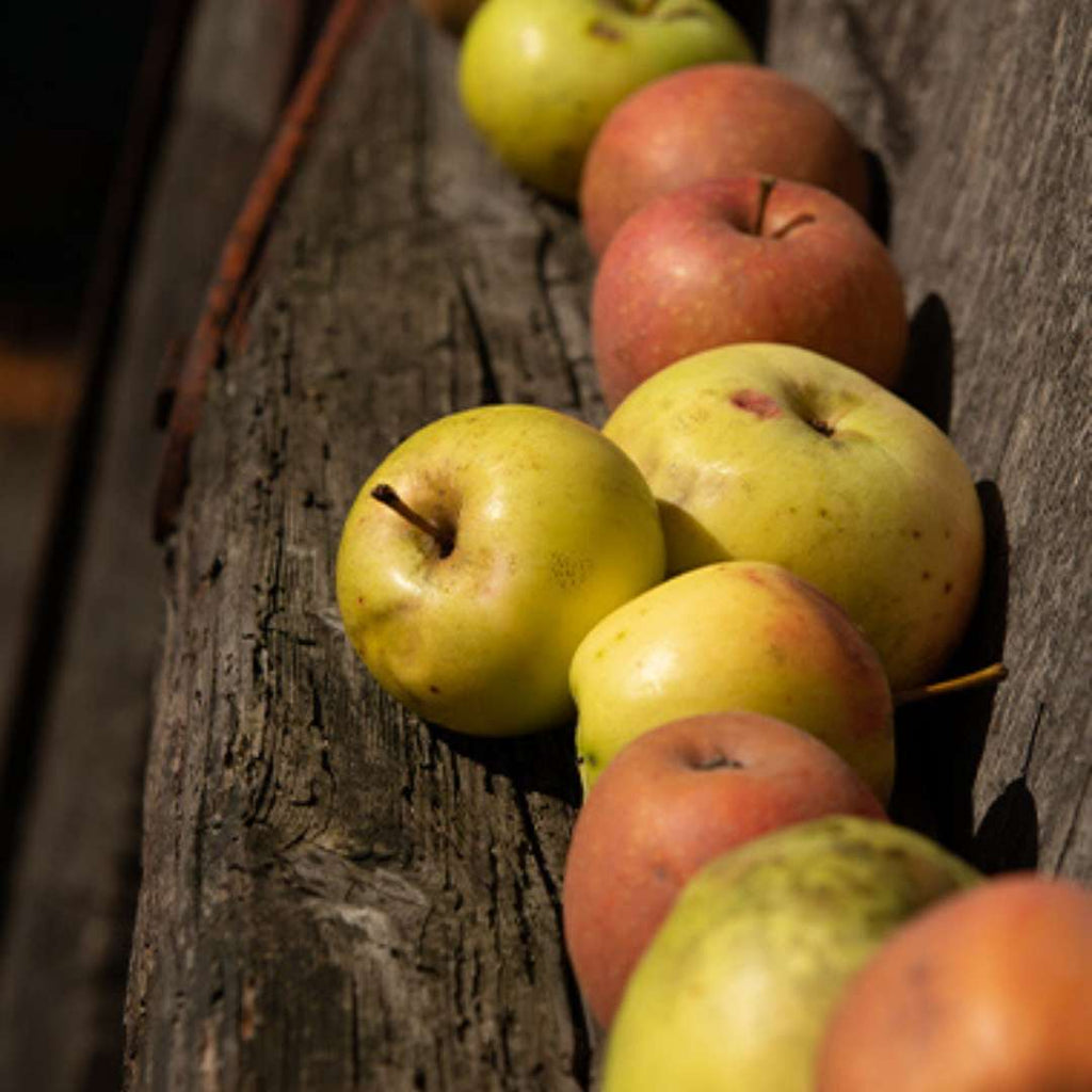 Der Baskische Apfel - Eztigar