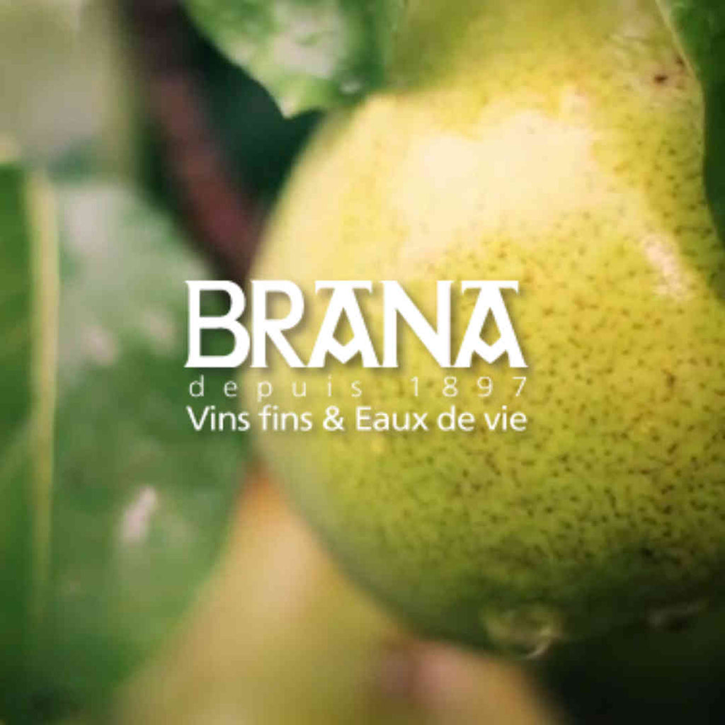BRANA Birne von BRANA - Ispoure / Basse Navarre - Die Niederlande - FRESKOA STORE